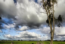 U20亚洲杯中国队赛程如何?出线前景有多大?