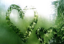 NBA在线直播JRS无插件直播靠谱吗？怎么用？优势在哪？