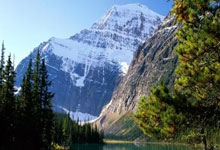 打牌吧下载可靠吗?怎么下载?