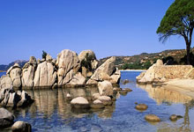 如何在线观看CCTV13直播?实用指南帮你轻松搞定